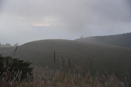 初秋の霧ヶ峰② 初秋の霧ヶ峰②の写真