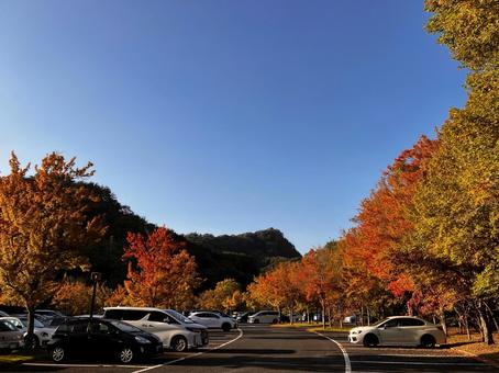 秋空ゴルフ７ ゴルフ,秋空,綺麗の写真素材