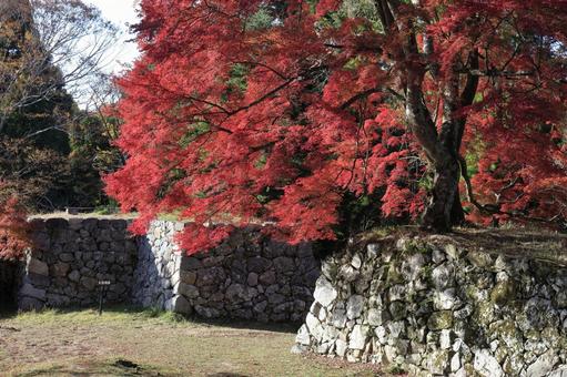 紅葉　高取城跡の写真