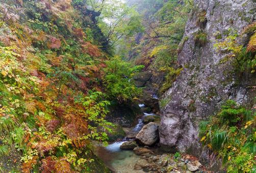 鳴子峡の紅葉 鳴子峡,紅葉,渓谷の写真素材