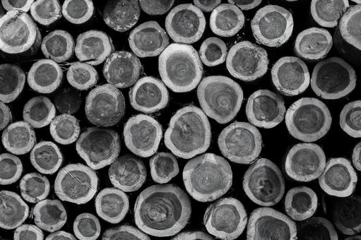 積まれた丸太の切り口 モノクロ 積まれた丸太の切り口 モノクロの写真