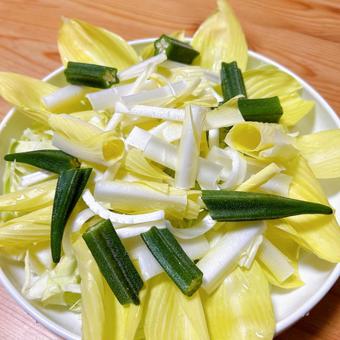 山菜サラダ 山菜,山,植物の写真素材