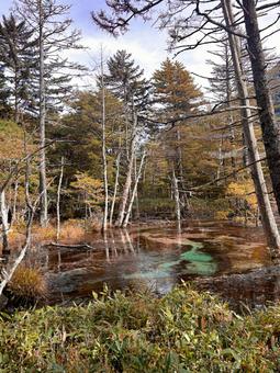 池と紅葉 池,紅葉,木の写真素材