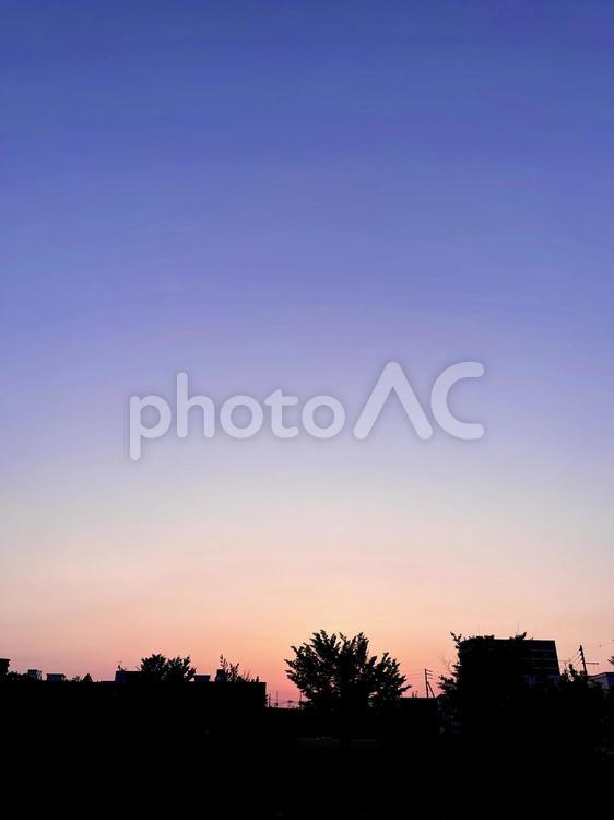 ピンクの美しい夕焼け ピンク,夕方,夕焼けの写真素材