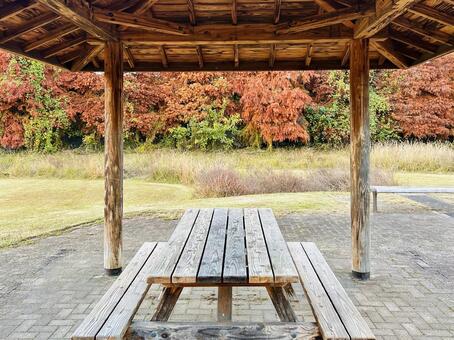 憩いの場 ベンチ,紅葉,秋の写真素材