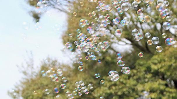 A lot of soap bubbles flew in the park during summer vacation, soap bubble, summer vacation, shabone jade, JPG
