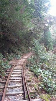 トロッコ道 トロッコ道 鹿児島県,屋久島,廃線の写真素材