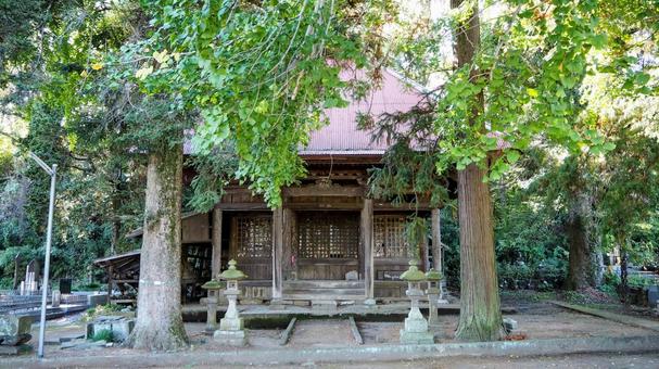 秋の飯山温泉・金剛寺＆秋色の木（厚木市） 秋,飯山温泉,厚木市の写真素材