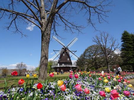 Andersen Park in April-87, JPG