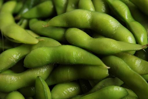 枝豆のアップ写真 枝豆のアップ写真 枝豆,豆類,緑色の写真素材