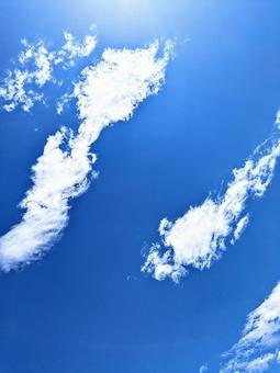 晴れ☀ 晴れ☀の写真