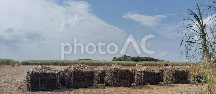 宮古島　サトウキビ収穫後の畑 沖縄,宮古諸島,宮古島の写真素材