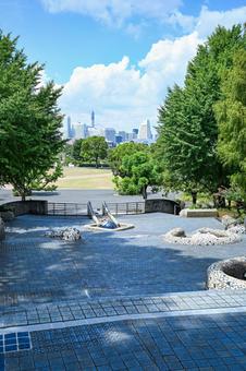 横浜・山下公園 横浜・山下公園 横浜,山下公園,公園の写真素材