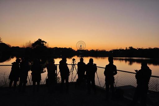 朝焼け 観覧車,空,乗り物の写真素材