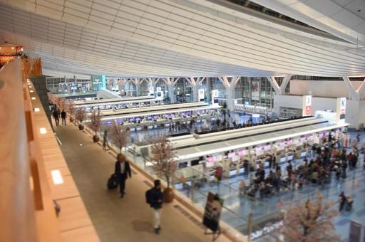 Photo, airport, haneda airport, international terminal, 