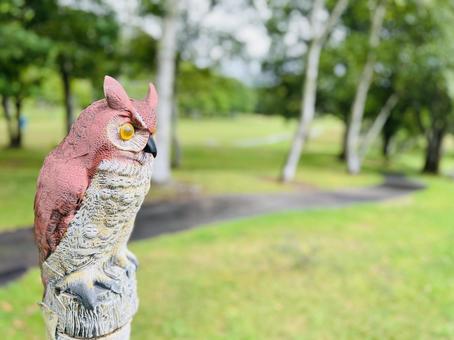 ゴルフ場のフクロウ置物と緑の芝生 ゴルフ場のフクロウ置物と緑の芝生の写真