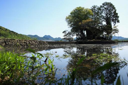 兵庫県姫路市 州濱神社 兵庫県姫路市 州濱神社 州賓神社,神社,樹木の写真素材