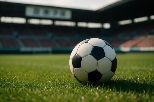 芝生の上のサッカーボール 芝生の上のサッカーボールの写真