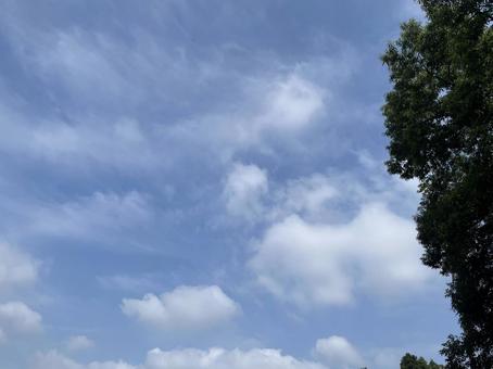 青空に雲 青空に雲の写真