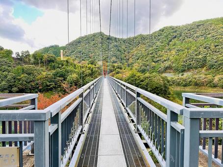 ヤッホーポイント　吊橋 椿山ダム湖,日高川町美山,湖畔の写真素材