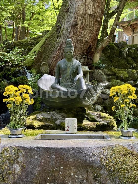 永平寺の仏像 永平寺,福井,仏像の写真素材