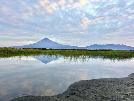 富士川から見る富士山 富士川から見る富士山の写真
