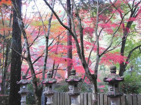 【紅葉写真】佛通寺の紅葉風景 【紅葉写真】佛通寺の紅葉風景の写真
