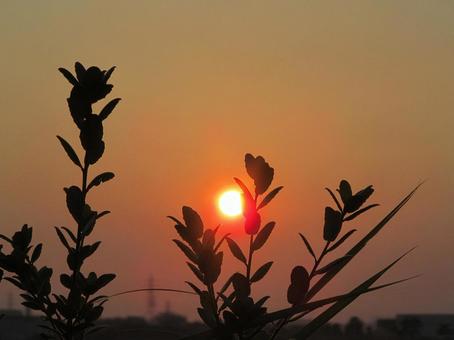 夕焼け空の風景 夕暮れ,空,夕日の写真素材