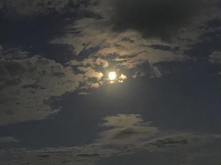 夕方の月 夕方の月 空,月,雲の写真素材