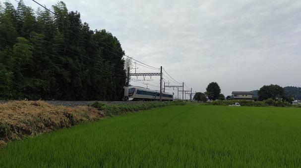 水田と特急電車６の写真