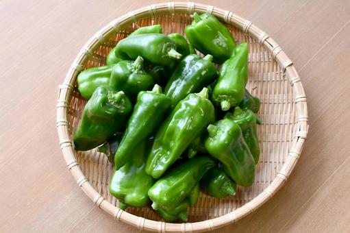 ビーマン 緑 ザル ビーマン 緑 ザル 野菜,食材,食事の写真素材