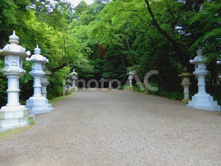 下総国一宮　香取神宮　参道 香取神宮,神社,参道の写真素材