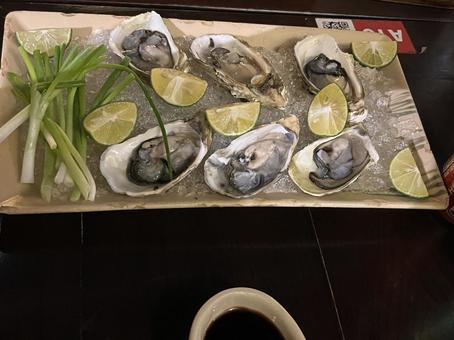 生牡蠣 生牡蠣 生牡蠣,カキ,牡蠣の写真素材