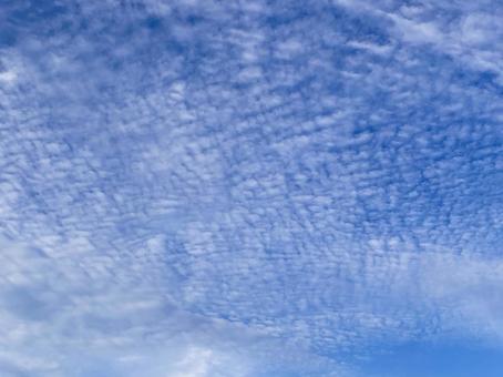 秋の空 秋の空の写真