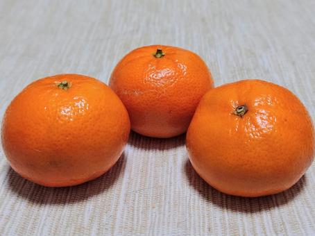 みかん 3個 みかん 3個の写真