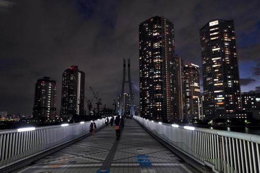 辰巳桜橋と江東区東雲のタワマン群の夜景 辰巳桜橋と江東区東雲のタワマン群の夜景 辰巳桜橋,東京都江東区,東雲の写真素材