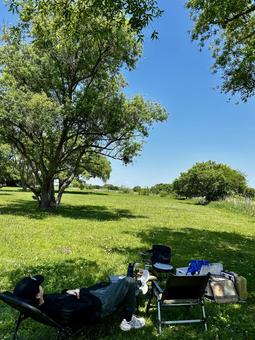 のんびり夏の日のピクニック のんびり夏の日のピクニック ピクニック,のんびり,夏の日の写真素材