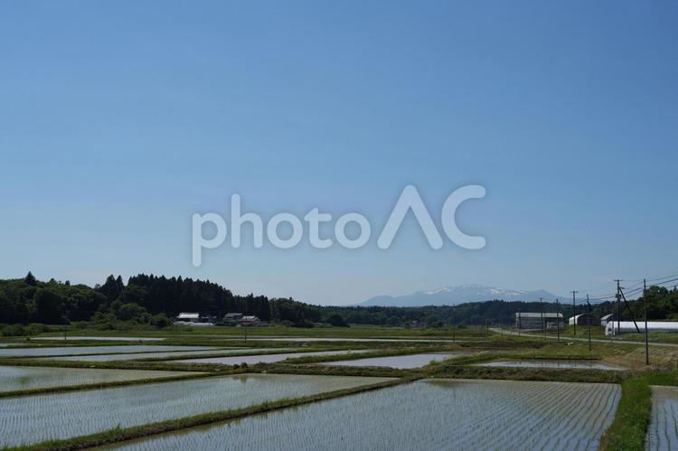 栗駒山と田植えの風景 栗駒山麗,風景,田園風景の写真素材