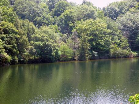 初夏の森と湖 初夏の森と湖の写真