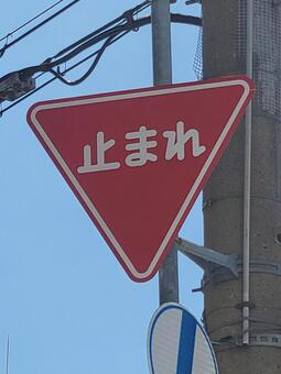 標識 止まれ 202504(2) 標識,道路標識,止まれの写真素材