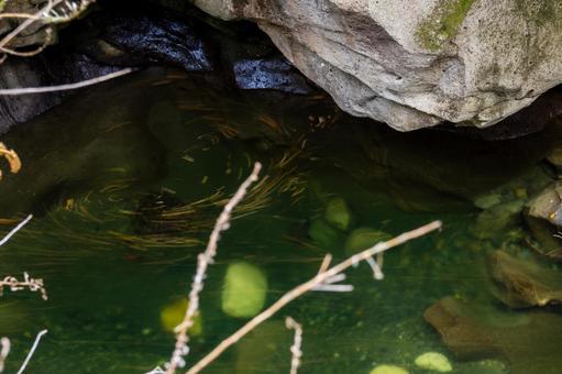 秋の磊々峡⒅ 秋,紅葉,落ち葉の写真素材