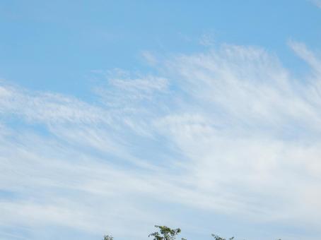 【空の写真】秋空 【空の写真】秋空 秋空,空,雲の写真素材