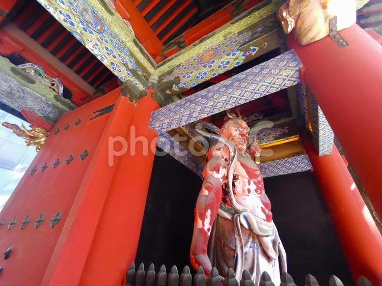 写真素材：栃木県 日光東照宮 仁王像 日光東照宮,仁王門,仁王像の写真素材