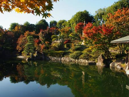 秋の庭園の写真