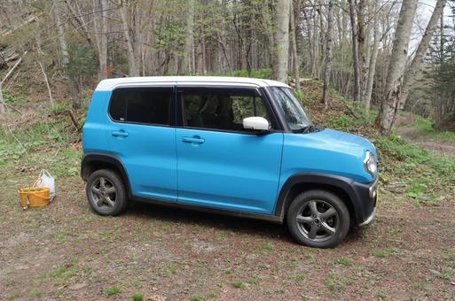 私の車 車,軽自動車,自然の写真素材