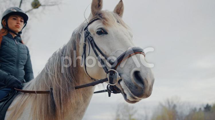 白馬に乗る格好いい騎手 馬,馬の顔,アップの写真素材