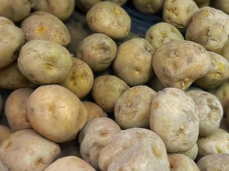 ジャガイモ ジャガイモ,食べ物,作物の写真素材