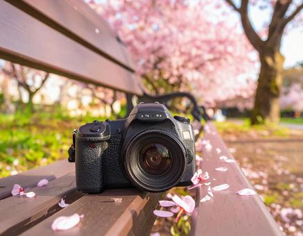 置き去りにされたカメラ 置き去りにされたカメラの写真