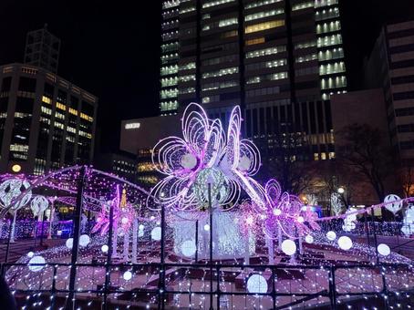 紫に輝く花：札幌の都会的イルミネーション イルミネーション,ホワイトイルミネーション,札幌の写真素材