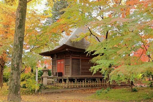 筑西市のもみじに囲まれた最勝寺薬師堂 最勝寺,最勝寺薬師堂,もみじの写真素材